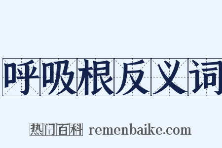 呼吸根反义词是什么意思的图片